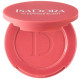 THE POWDER BLUSH