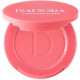 THE POWDER BLUSH